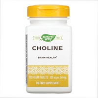(20.02 Очікування) Choline 500 mg - 100 tabs