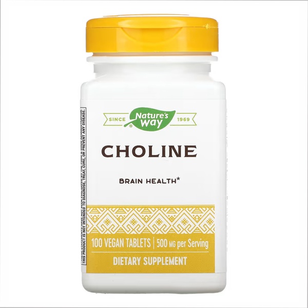 (20.02 Очікування) Choline 500 mg - 100 tabs