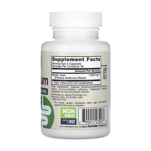 Mastic Gum 1000mg - 60 vcaps