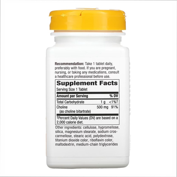 (20.02 Очікування) Choline 500 mg - 100 tabs