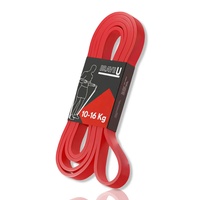 Training Band - 10-16kg Red