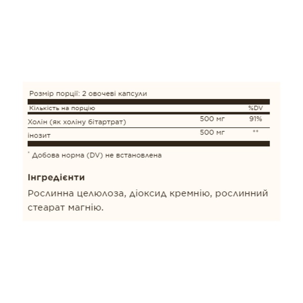 19.01 (Очікування) Choline/Inositol 500 mg/500 mg - 100 vcaps