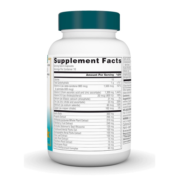 Wellness Formula® - 60 caps (Пошкоджена банка)
